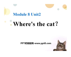 《Where's the cat?》PPT课件