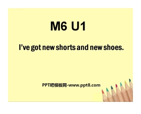 《I've got new shorts and new shoes》PPT课件