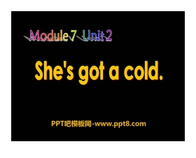 《She's got a cold》PPT课件2