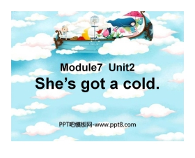 《She's got a cold》PPT课件4