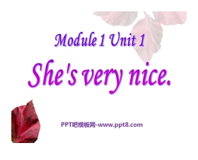 《She's very nice》PPT课件