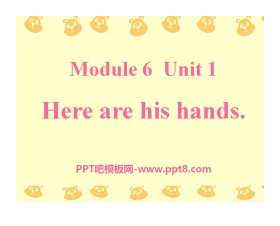 《Here are his hands》PPT课件