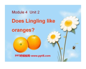 《Does Lingling like oranges?》PPT课件4