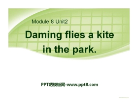 《Daming flies a kite in the park》PPT课件