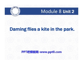 《Daming flies a kite in the park》PPT课件2