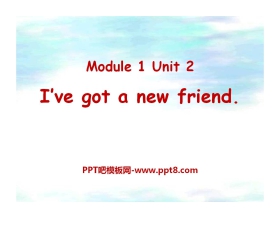 《I've got a new friend》PPT课件