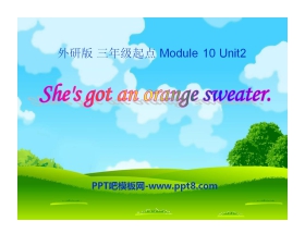 《She's got an orange sweater》PPT课件