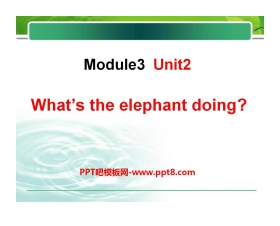 《What's the elephant doing?》PPT课件2