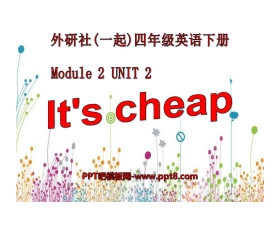 《It's cheap》PPT课件2