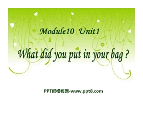 《What did you put in your bag?》PPT课件