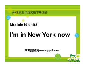 《I'm in New York now》PPT课件