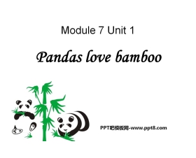 《Pandas love bamboo》PPT课件3
