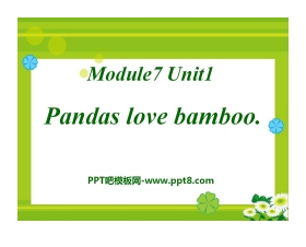 《Pandas love bamboo》PPT课件4