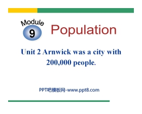 《Arnwick was a city with 200.000 people》Population PPT课件