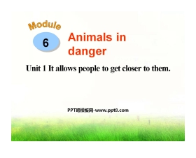 《It allows people to get closer to them》Animals in danger PPT课件4