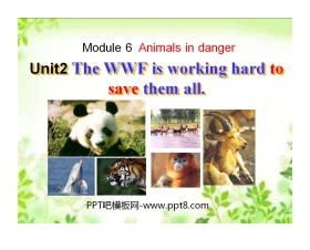 《The WWF is working hard to save them all》Animals in danger PPT课件2