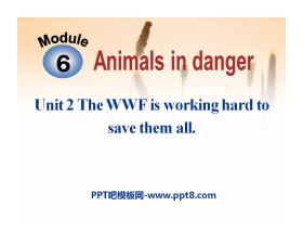 《The WWF is working hard to save them all》Animals in danger PPT课件3