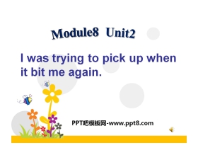 《I was trying to pick it up when it bite me again》Accidents PPT课件2