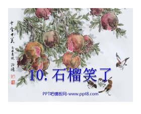 《石榴笑了》PPT课件3