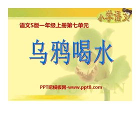 《乌鸦喝水》PPT课件17