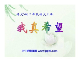 《我真希望》PPT课件5