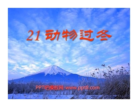 《动物过冬》PPT课件2