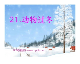 《动物过冬》PPT课件3