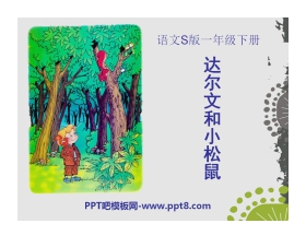 《达尔文和小松鼠》PPT课件6