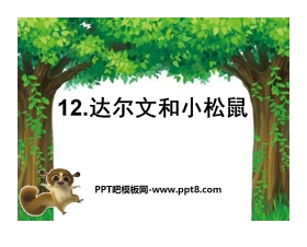 《达尔文和小松鼠》PPT课件5