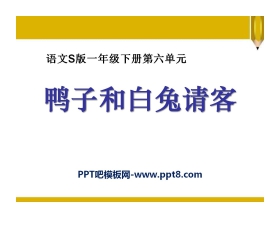 《鸭子和白兔请客》PPT课件