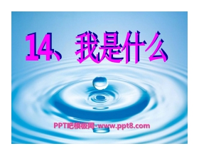 《我是什么》PPT课件8