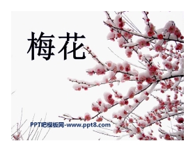 《梅花》PPT课件3