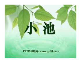 《小池》PPT课件5