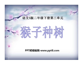 《猴子种树》PPT课件4