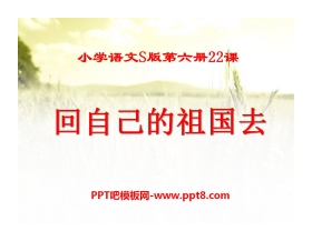 《回自己的祖国去》PPT课件5