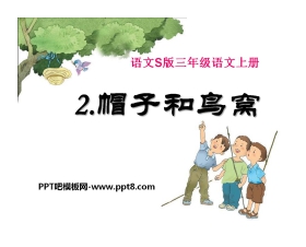 《帽子和鸟窝》PPT课件2