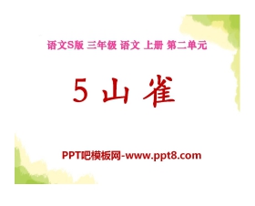 《山雀》PPT课件4