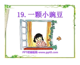 《一颗小豌豆》PPT课件5