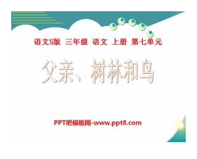 《父亲树林和鸟》PPT课件2