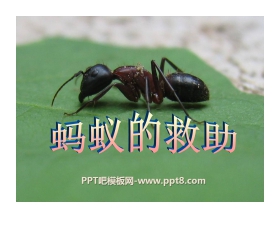 《蚂蚁的救助》PPT课件2