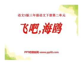 《飞吧，海鸥》PPT课件