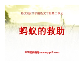 《蚂蚁的救助》PPT课件