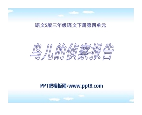 《鸟儿的侦察报告》PPT课件7