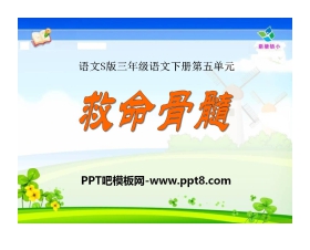 《救命骨髓》PPT课件3