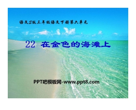 《在金色的海滩上》PPT课件2