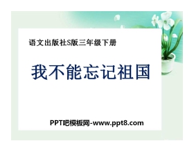 《我不能忘记祖国》PPT课件2