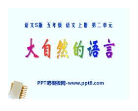 《大自然的语言》PPT课件13