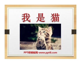 《我是猫》PPT课件2