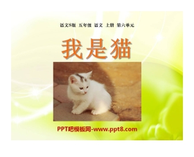 《我是猫》PPT课件4