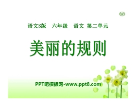 《美丽的规则》PPT课件